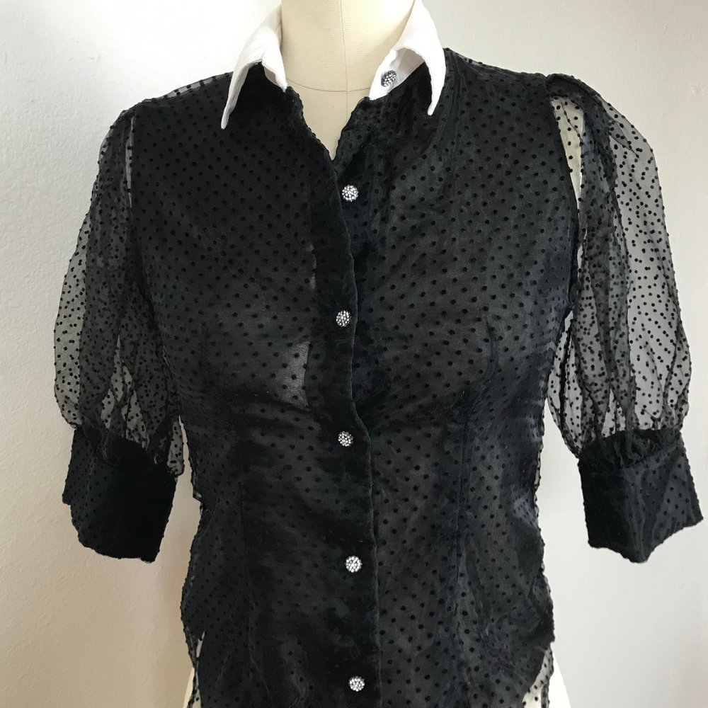 ZARA  Organza top with dots, puffy sleeves, white collar and rhinestone buttons.